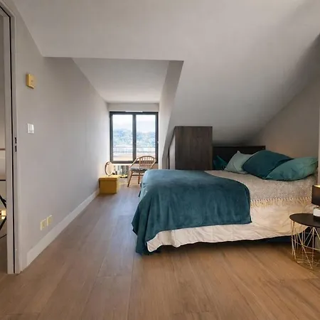 Fabuleux Duplex Au Coeur De Avec Terrasse Et Solarium Privatif דירה קאן