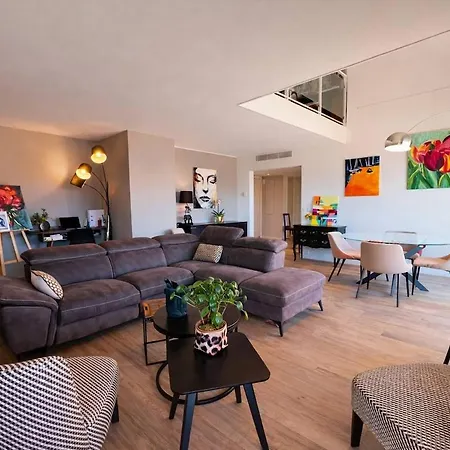 Fabuleux Duplex Au Coeur De Avec Terrasse Et Solarium Privatif דירה *
